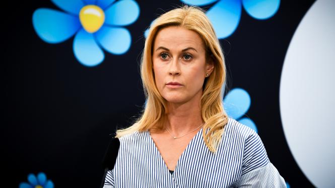 Riksdagsledamoten Katja Nyberg (SD), som är tjänstledig polis, misstänks för både grov rattfylla och narkotikabrott.