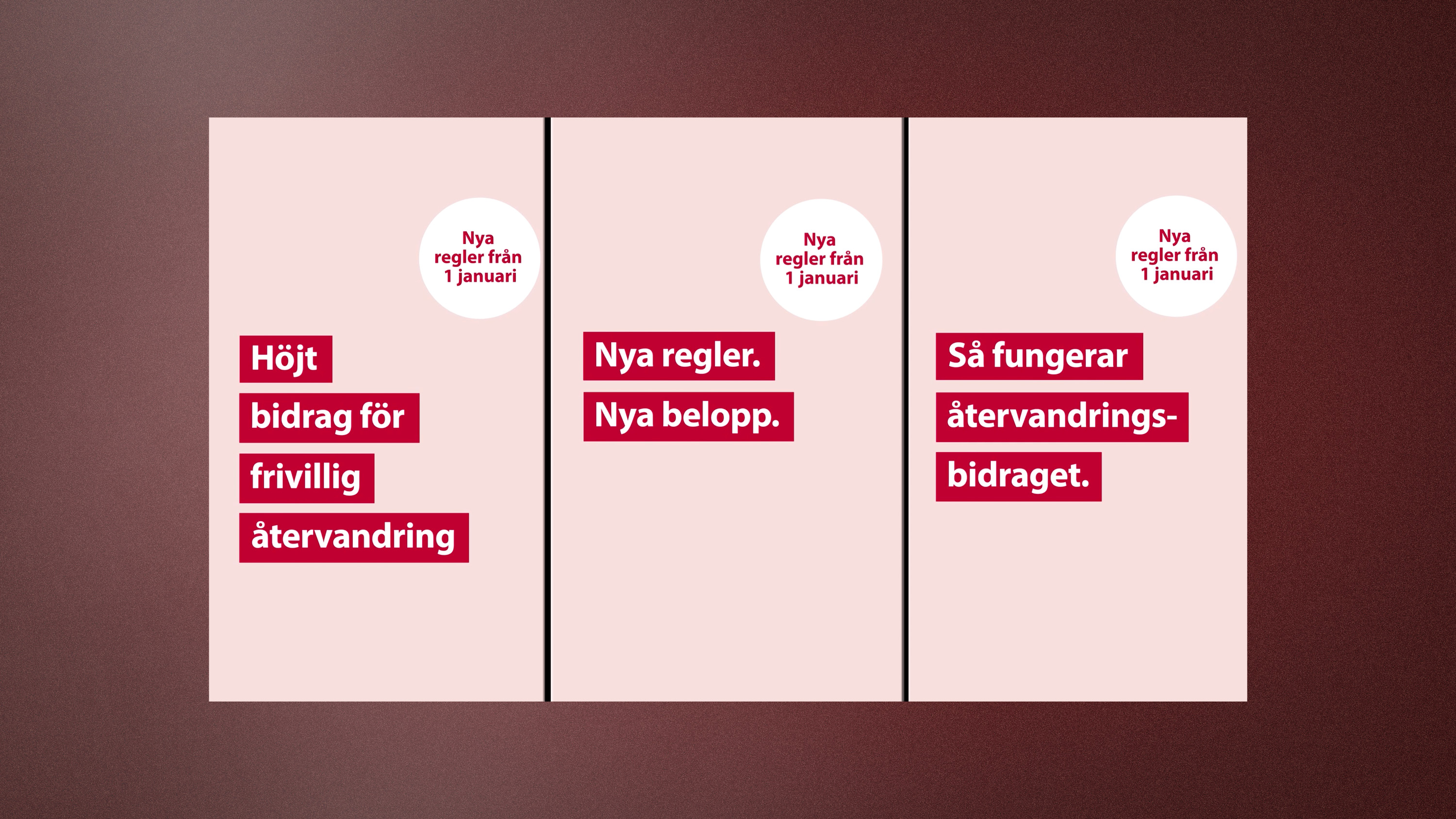Migrationsverket har sedan i december gjort reklam för det nya, höjda återvandringsbidraget.