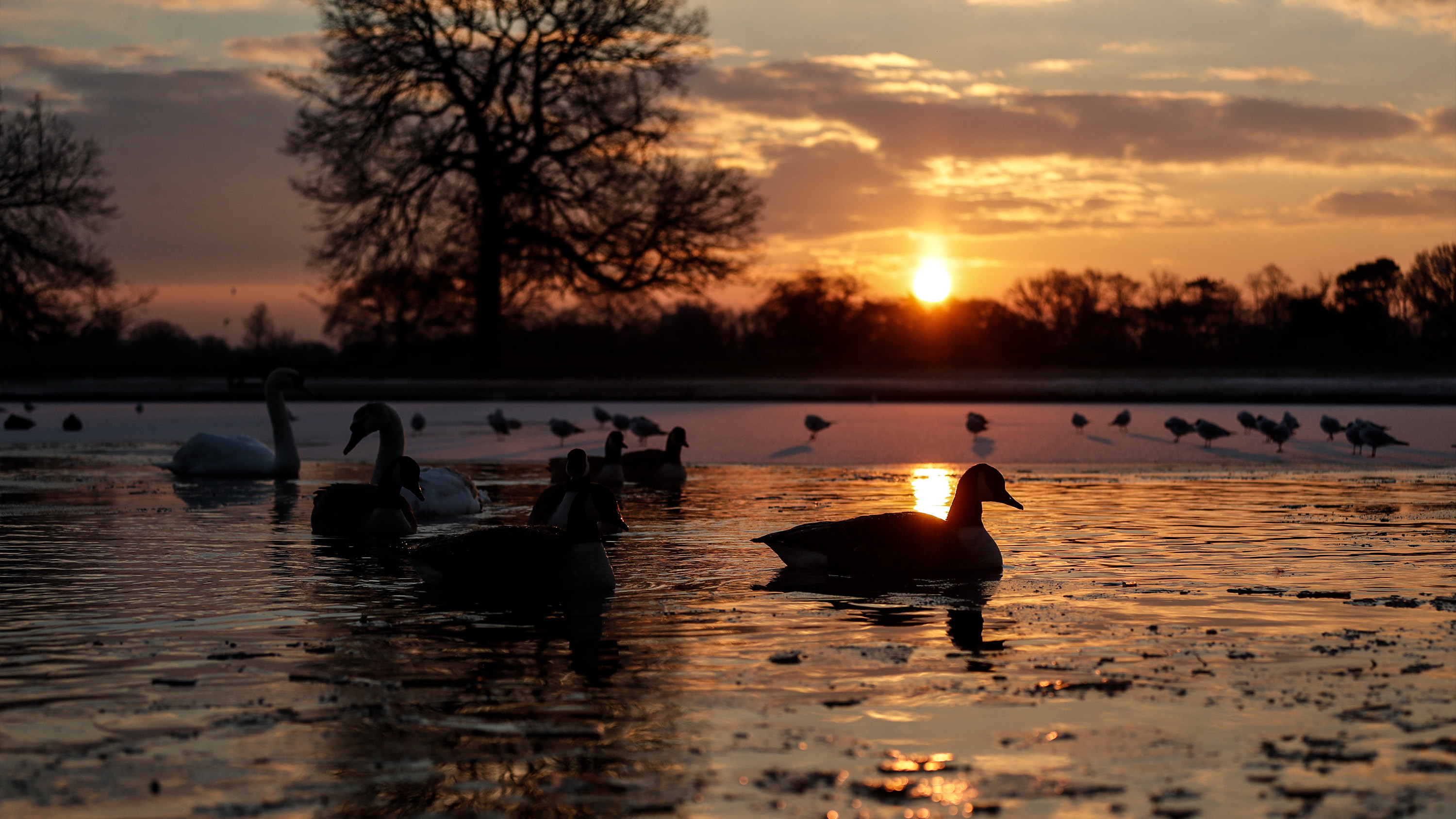 I ett rättvist Sverige borde löntagarna betala mindre, speciellt låginkomsttagare, skriver Johan Jenny Ehrenberg