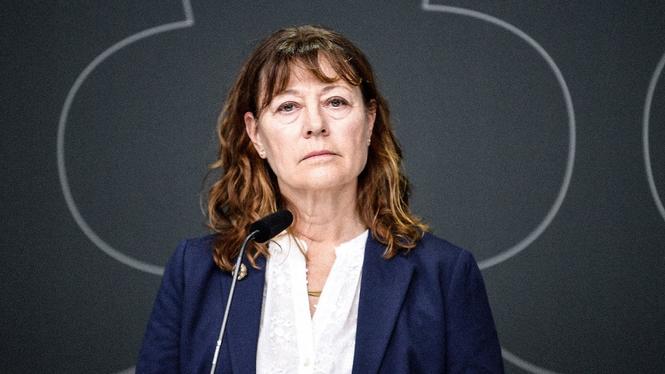Jämställdhetsmyndighetens generaldirektör Lise Tamm kritiseras.