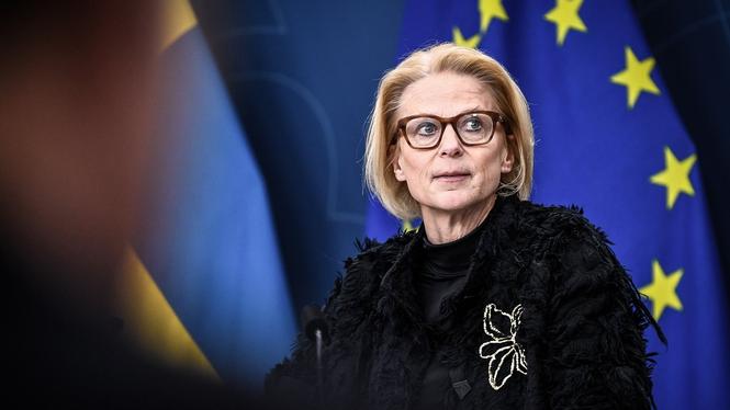 Finansminister Elisabeth Svantesson (M) vill se en utredning av eurofrågan, men inte denna mandatperiod.