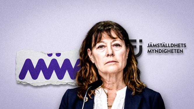 Generaldirektör Lise Tamm ”tipsade” sin egen myndighet efter att hon reagerade på ett panelsamtal om islamofobi.