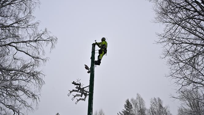 Extremvädret som drabbade bland annat Gävleborgs län omkring årsskiftet ställde till det rejält. Tiotusentals hushåll blev strömlösa.