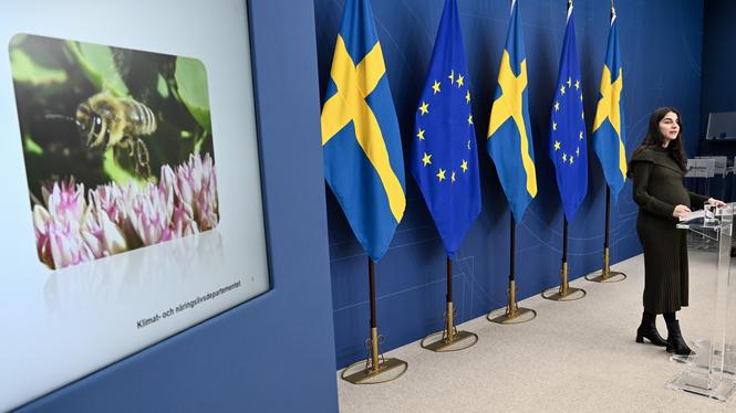 Klimat- och miljöminister Romina Pourmokhtari (L) presenterar regeringens handlingsplan för biologisk mångfald vid en pressträff på regeringskansliet Rosenbad.
