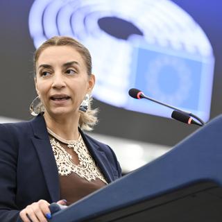 Socialdemokraterna röstade för två kontroversiella migrationsfiler i Europaparlamentet under tisdagen.