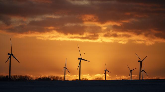 Vindkraftverk utanför Landskrona i januari 2025. EU-stödet till förnybar energi som vindkraft minskade efter Rysslands storskaliga invasion av Ukraina.