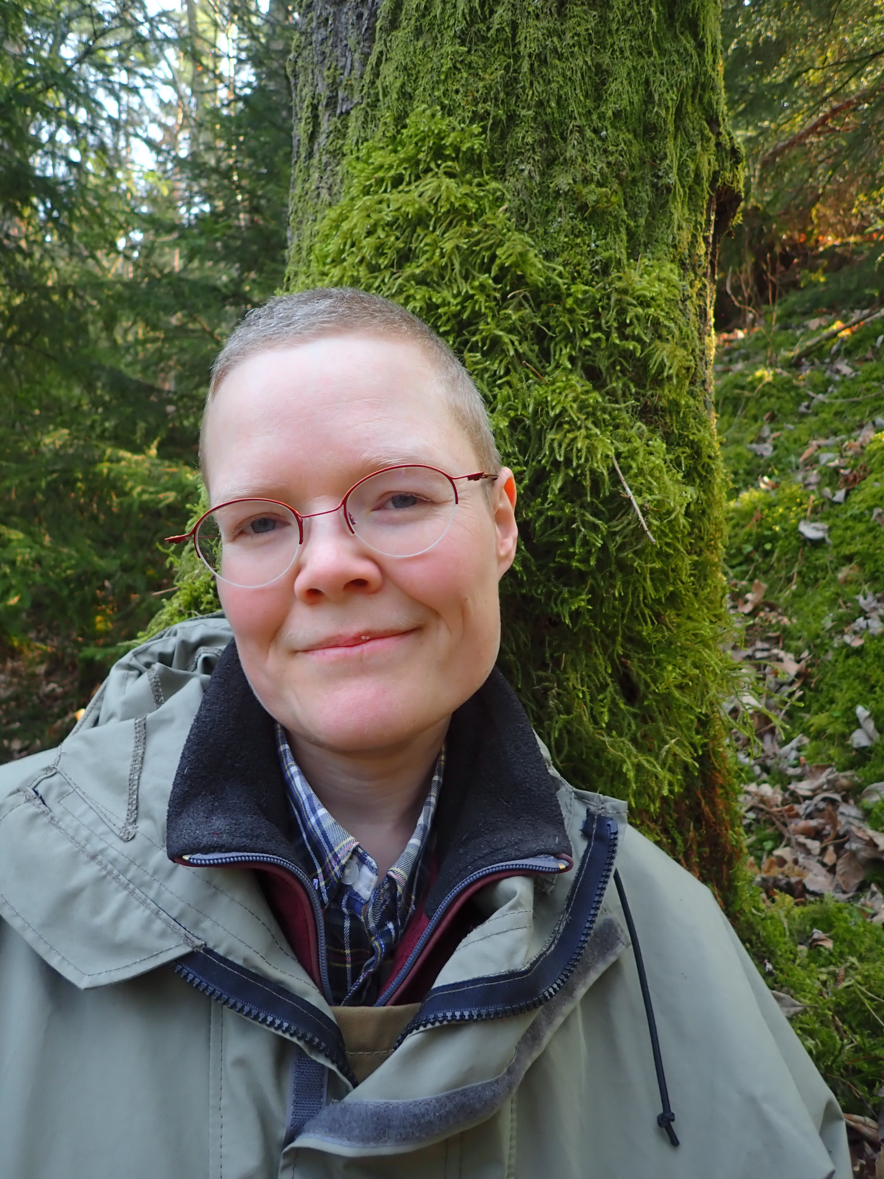 Helldén om regeringens nya skogspolitik: ”Katastrof” | Dagens ETC