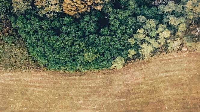 Forskare vid Chalmers tekniska högskola har tagit fram en omfattande global kartläggning av hur olika varor orsakar avskogning. Bilden visar skogsminskning i Appalacherna.