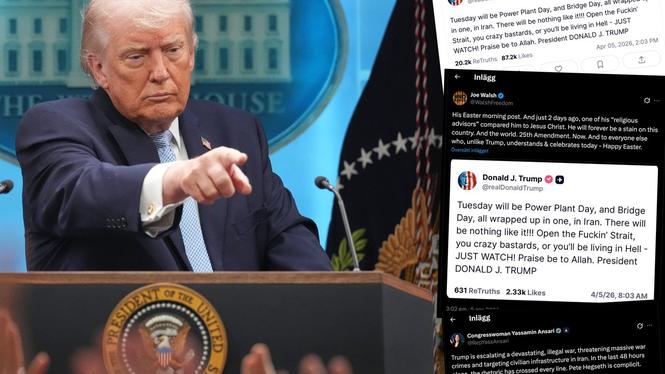 Kraven haglar in från demokratiska politiker på att Trumps egen regering utlöser fjärde sektionen i konstitutionens 25:e tillägg och avsätter Trump från presidentposten.