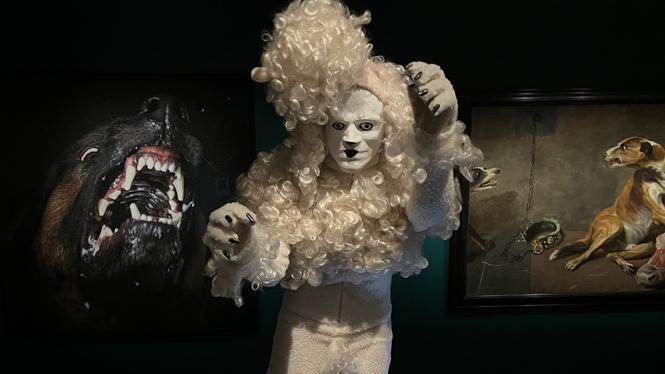 Kjartan Slettemarks pudeldräkt på Östergötlands museum.