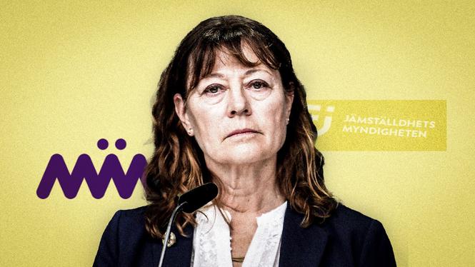 Jämställdhetsmyndighetens generaldirektör Lise Tamm.