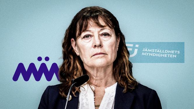 Jämställdhetsmyndighetens generaldirektör Lise Tamm.
