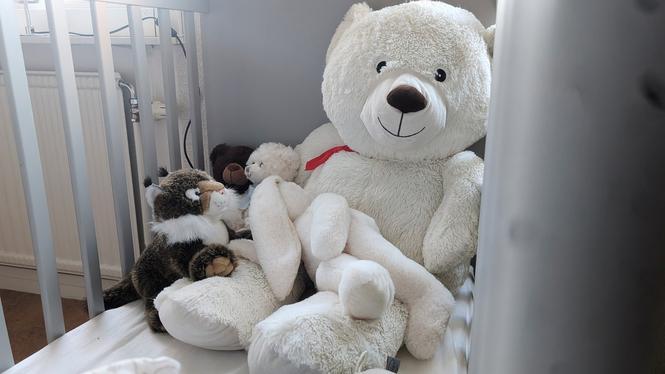 Den nya tillståndsplikten har lett till att många kvinnojourer tvingats stänga ner sina skyddade boenden. På Kvinnojouren i Umeå försöker man hitta alternativa lösningar för att fortsatt kunna erbjuda stöd till våldsutsatta kvinnor, tjejer och barn.