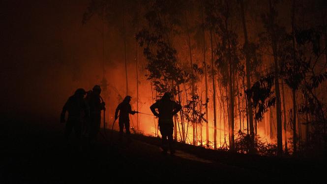 Brandmän som bekämpar en skogsbrand i Spanien i augusti förra året. 