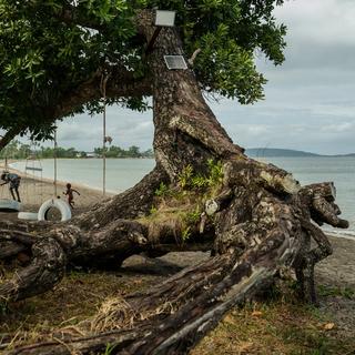 Barn leker längs en strand i Mele, Vanuatu, som en gång var kantad av vegetation, nu till stor del förlorad på grund av stormar, erosion och annan klimatpåverkan. Stigande havsnivåer hotar att helt dränka delar av ögruppen.