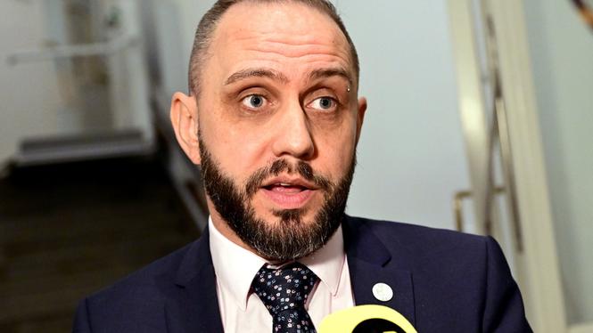 Michael Rubbestad var Sverigedemokraternas tidigare vice gruppledare.
