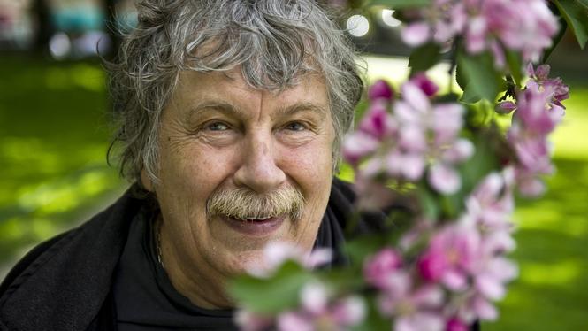 Staffan Westerberg, som bland annat skapat barnprogrammet ”Vilse i pannkakan”, har avlidit.