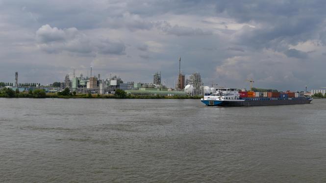 Invånare i nederländska Dordrecht har fått i sig PFAS genom luften och dricksvattnet. 