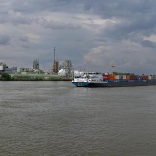 Invånare i nederländska Dordrecht har fått i sig PFAS genom luften och dricksvattnet. 